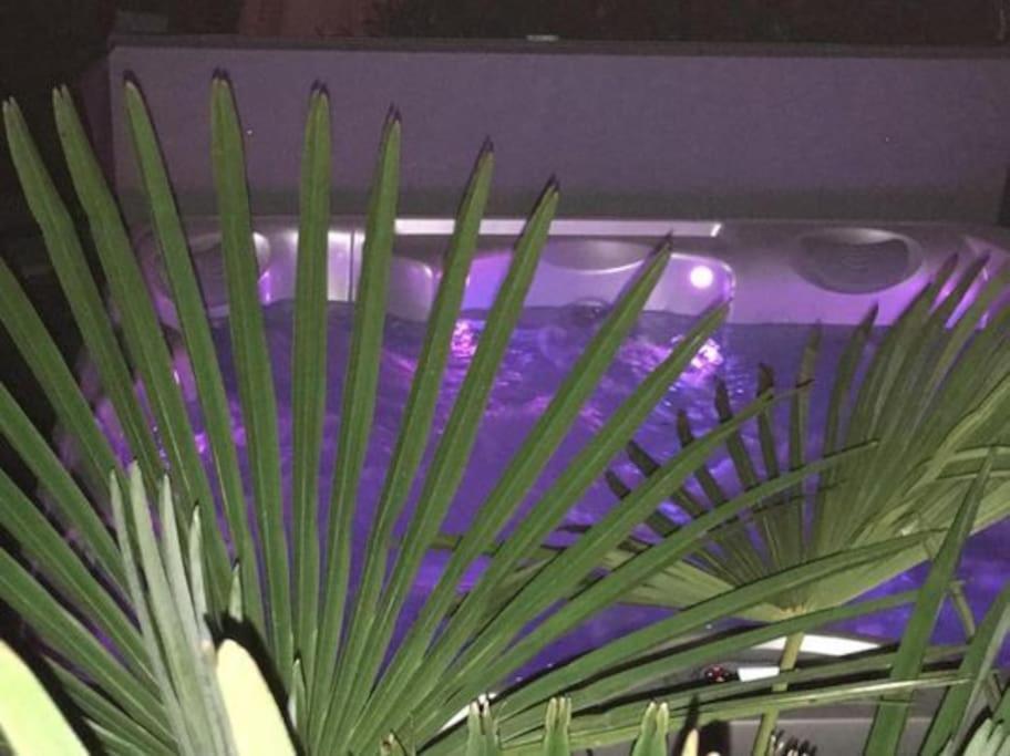 Un Petit Coin De Paradis Toulouse Ngoại thất bức ảnh