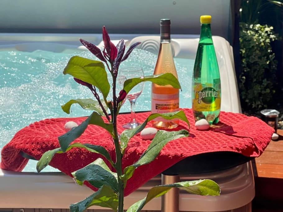 Un Petit Coin De Paradis Toulouse Ngoại thất bức ảnh