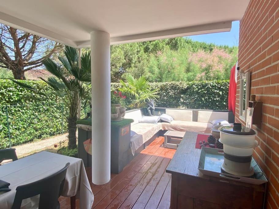 Un Petit Coin De Paradis Toulouse Ngoại thất bức ảnh