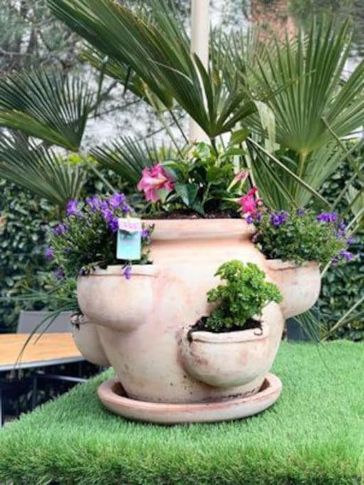 Un Petit Coin De Paradis Toulouse Ngoại thất bức ảnh