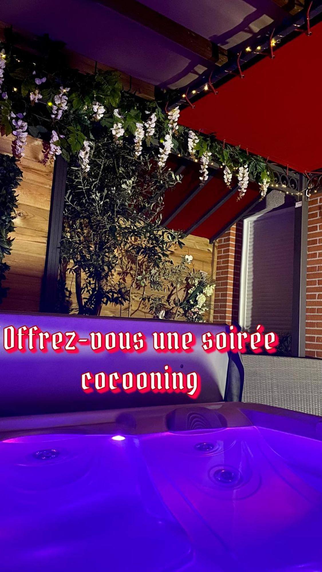 Un Petit Coin De Paradis Toulouse Ngoại thất bức ảnh
